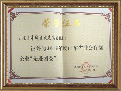 非公有制企業(yè)紅旗團(tuán)委