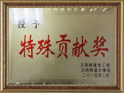 特殊貢獻(xiàn)獎(jiǎng)