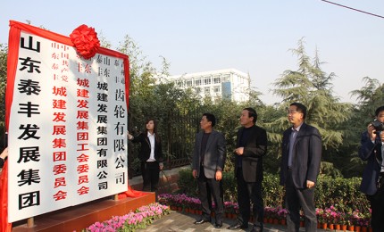 正式組建山東泰豐城建發展集團