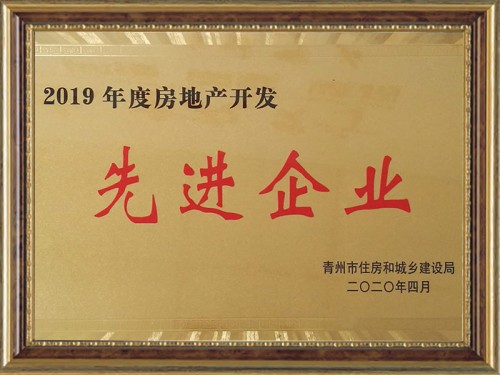 2019年度房地產(chǎn)開發(fā)先 進企業(yè)