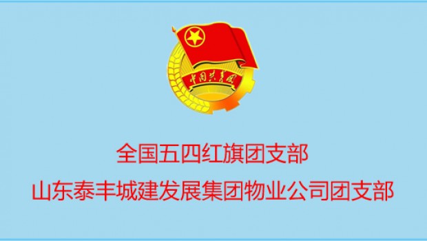 泰豐物業公司團支部喜獲 國 家 級 表彰！