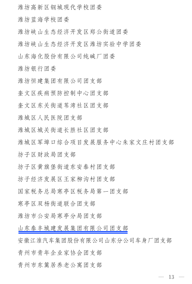 濰團(tuán)發(fā)【2022】11號--關(guān)于表揚(yáng)2021年度“濰坊市**共青團(tuán)員”“濰坊市**共青團(tuán)干部”“濰坊市五四紅旗團(tuán)組織”“濰坊市青春擔(dān)當(dāng)好青年_13.png